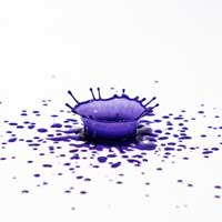 Color splash violett