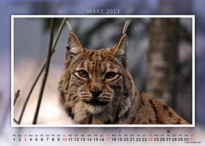 März Foto vom 2cam.net Fotokalender 2013