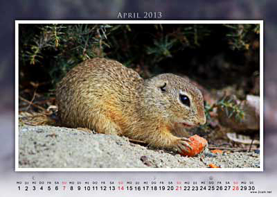 April Foto vom 2cam.net Fotokalender 2013