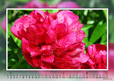 Mai Foto vom 2cam.net Fotokalender 2013