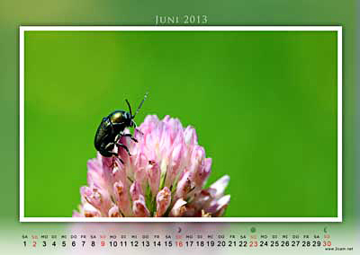 Juni Foto vom 2cam.net Fotokalender 2013