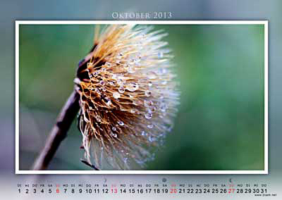 Oktober Foto vom 2cam.net Fotokalender 2013