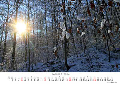 Januar Foto vom 2cam.net Fotokalender 2014