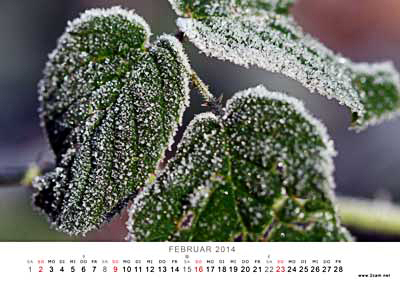 Februar Foto vom 2cam.net Fotokalender 2014