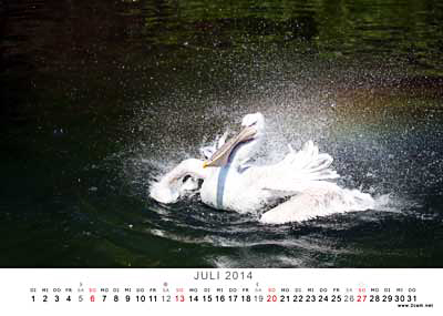 Juli Foto vom 2cam.net Fotokalender 2014