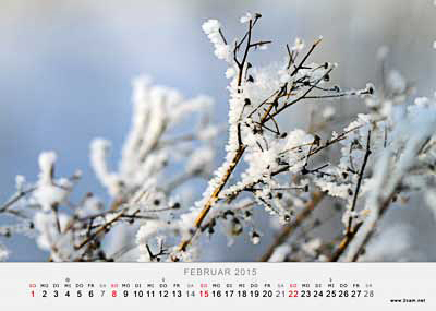 Februar Foto vom 2cam.net Fotokalender 2015
