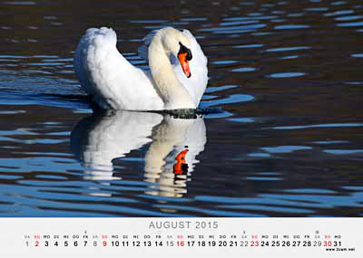 August Foto vom 2cam.net Fotokalender 2015