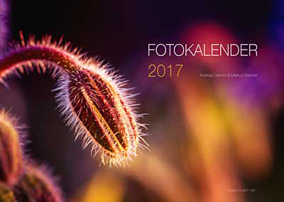 Cover Foto vom 2cam.net Fotokalender 2017