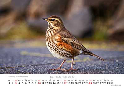 September Foto vom 2cam.net Fotokalender 2017